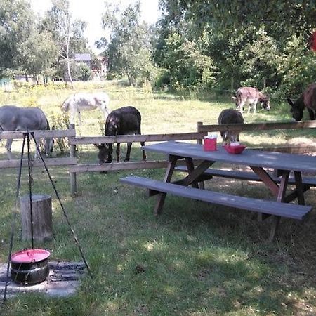De Balkende Hoeve Aarschot Exterior foto